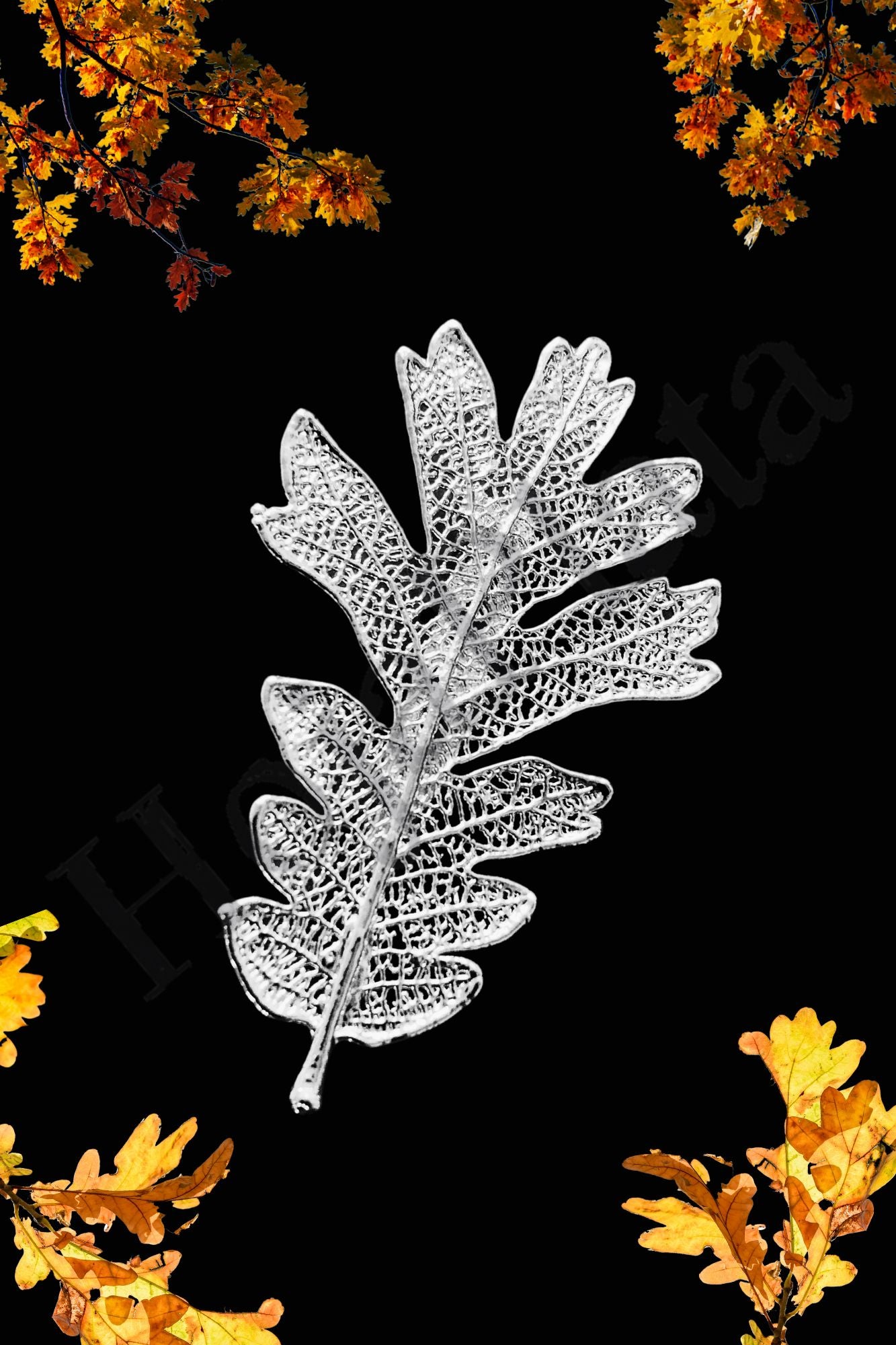 Broche de Roble / Hoja en plata