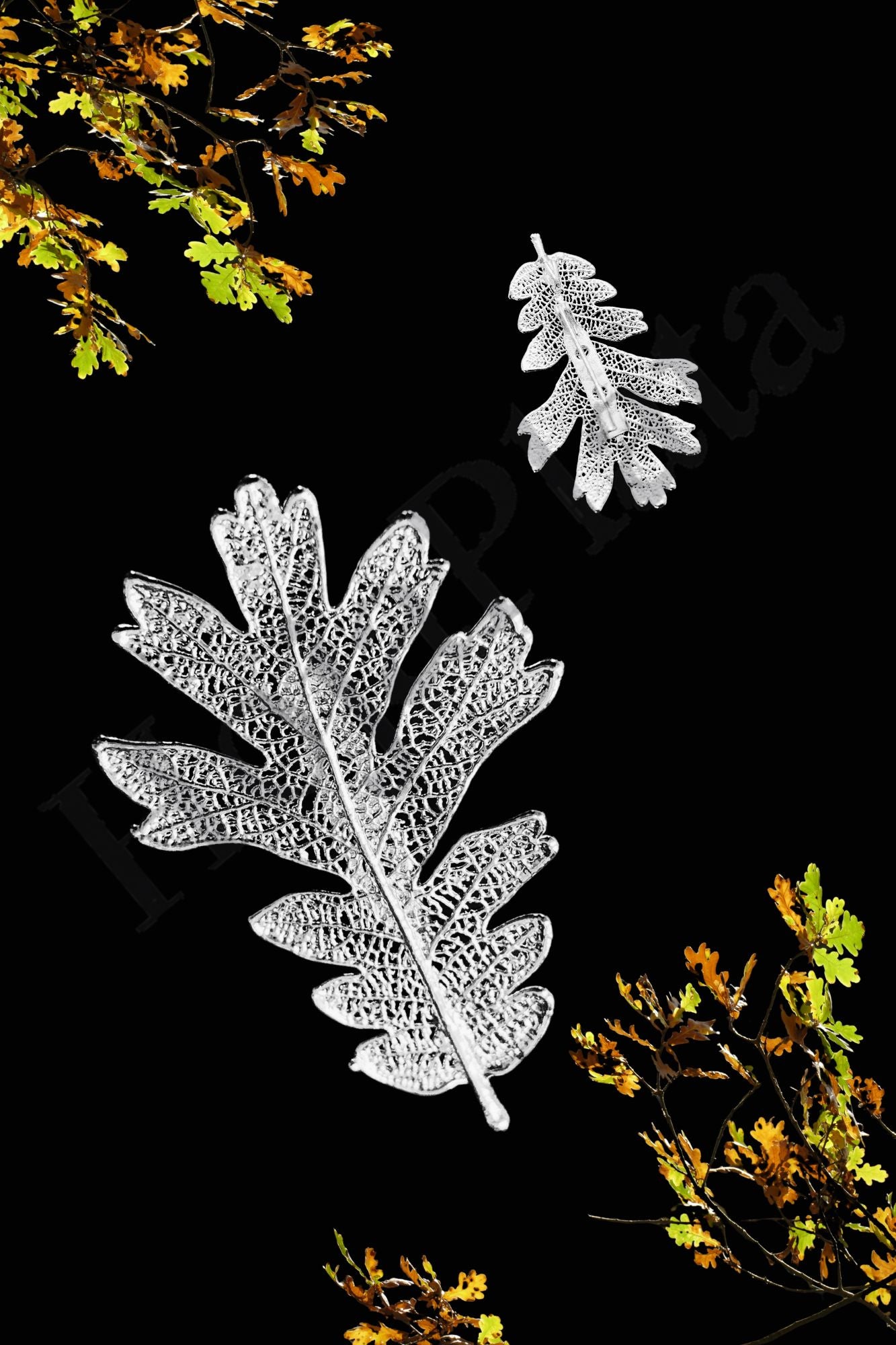 Broche de Roble / Hoja en plata