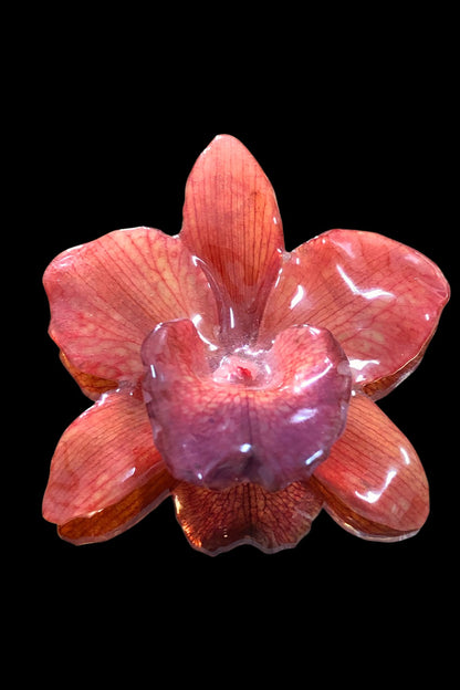 Broche Cattleya naranja