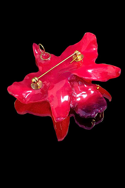 Broche Cattleya roja