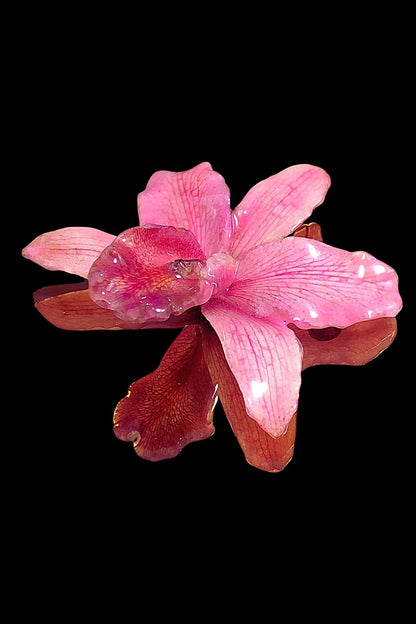 Broche Cattleya rosa