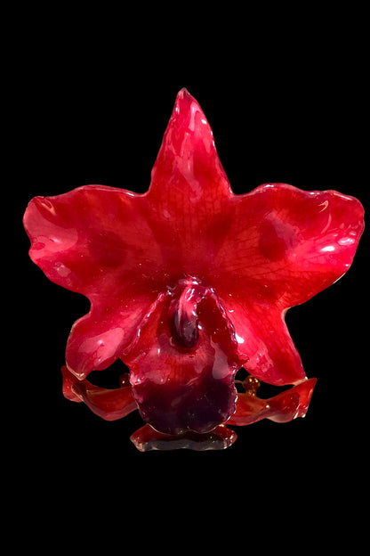 Broche Cattleya roja